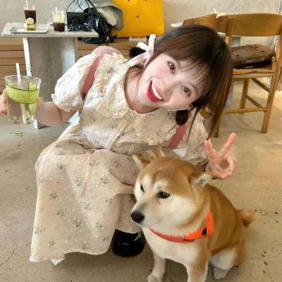 花儿与远方