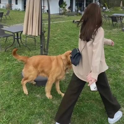 女高怪谈2 鬼恋人